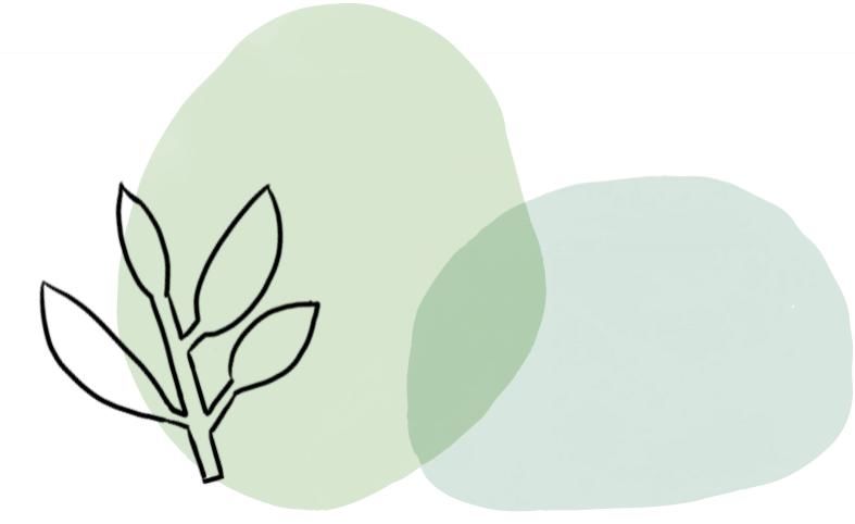 春天在传递幸福的花房里