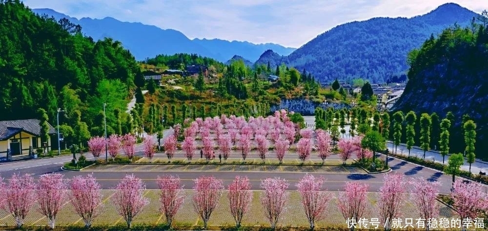 中国宣汉：春风十里，三月花海艳巴山