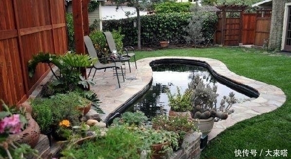 有庭院的人都开始造景观鱼池了美哭了,回家也要挖一个