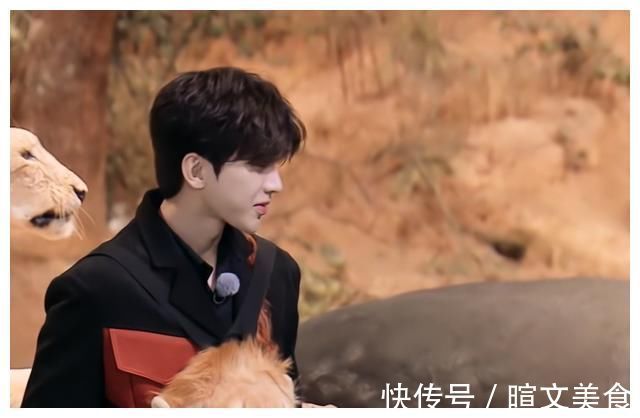 节目|奔跑吧9：杨颖险些摔倒，郑恺急得喊出昔日爱称，不怕苗苗吃醋？