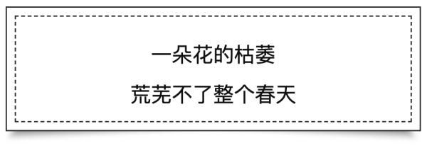 公益林|2021年只剩21天 有十句话我们一起倾听