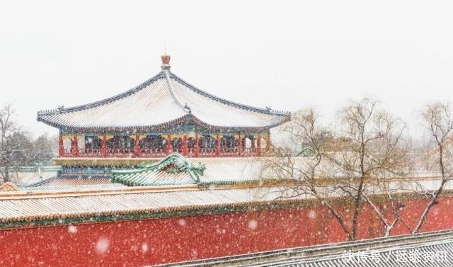 想和你|故宫下雪了，我又想你了