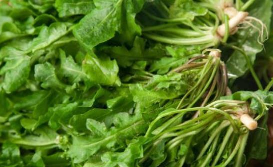 此物适合女性吃,皮肤更细腻,子宫越吃越干净,赶走大肚腩!