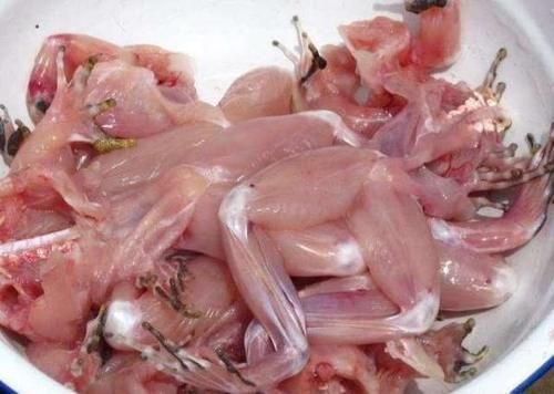 肉类|孕妇要拒绝的5种肉类,寄生虫感染最厉害,再嘴馋也要拒绝