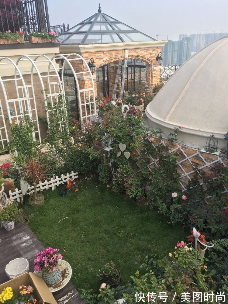 花草|历时一年，在31楼打造300㎡“屋顶花园”，如今美成了仙境