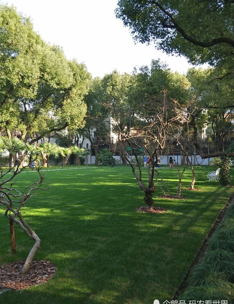 花园草坪|走进淮海路1843号,感受宋庆龄伟大光辉的一生