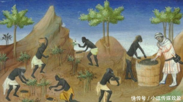 远方|海洋探秘|舌尖上的海洋之美味自远方