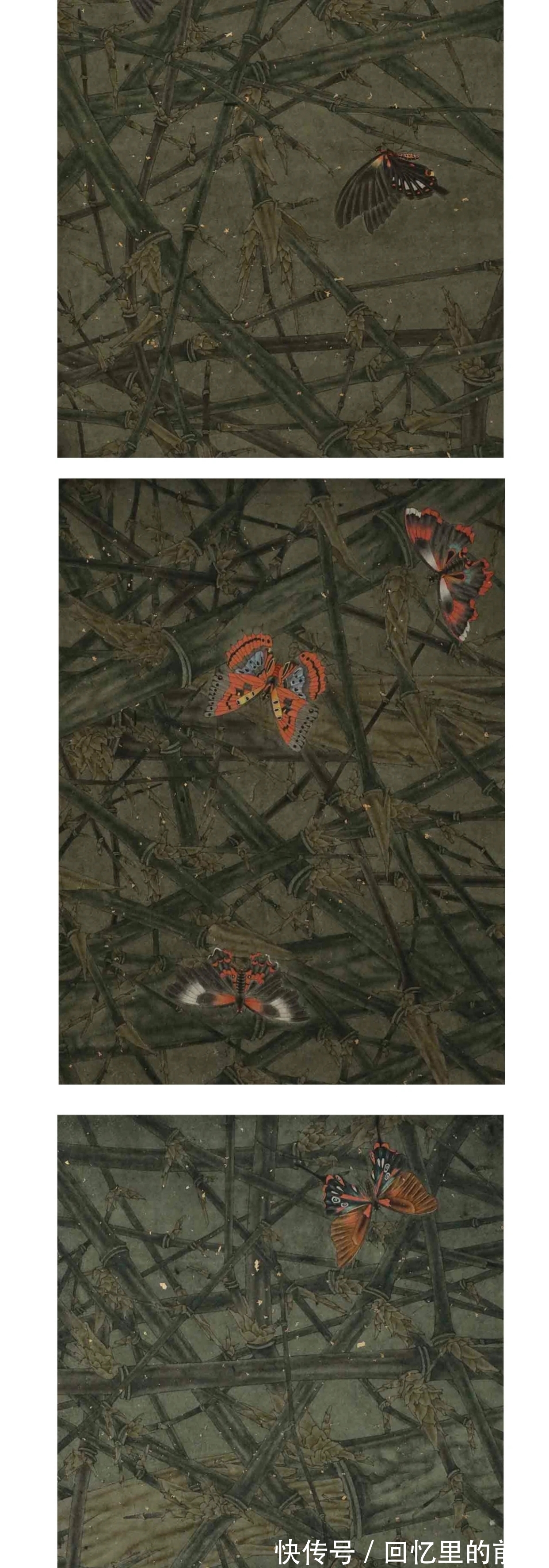 美术学院|刘祥当代花鸟画