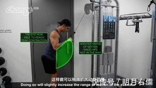 三头肌|手臂太细怎么练掌握这3点,“肱三头轰炸”练出麒麟臂