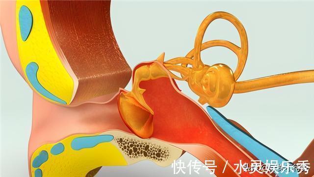 鼓膜|24个冷知识:真实存在于世界,可以使人博学的有趣知识