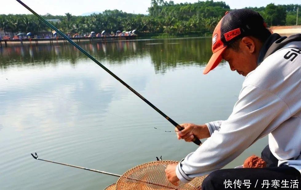 红虫|黑坑鱼突然停口怎么回事?老钓手教你妙招轻松解决