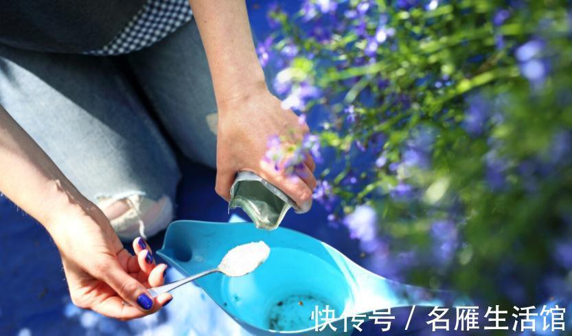 水溶肥|养花常用这3种肥，掌握住正确用法，养啥旺啥，枝叶茂开花勤