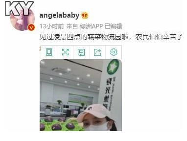 跑男|Angelbaby清晨现身蔬菜物流园《奔跑吧·黄河篇2》跑男团助农卖菜