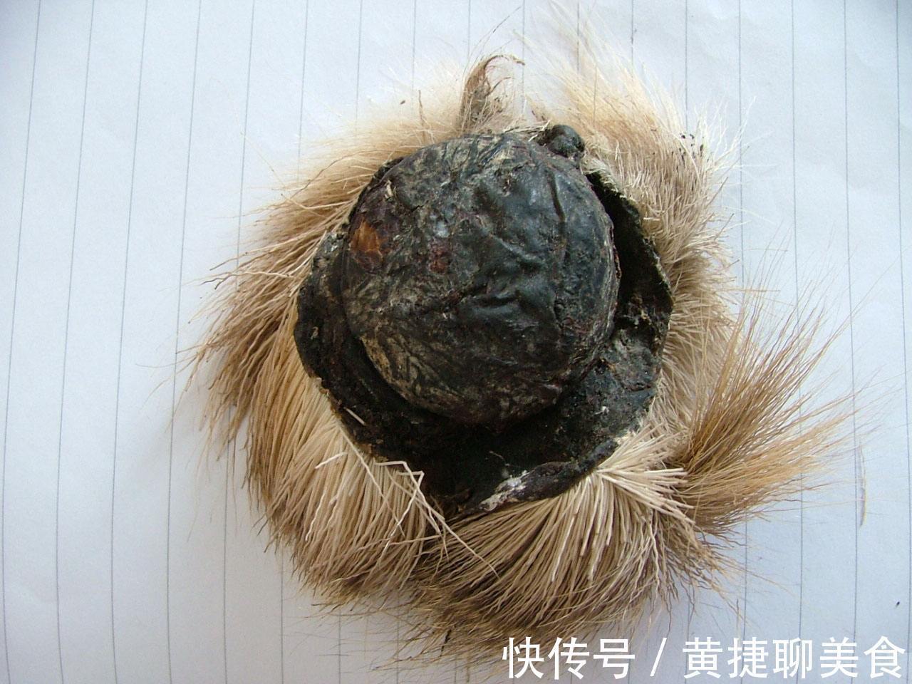 全方|清代名医王清任,6张活血化瘀方,打遍天下无敌手,用过的都说好