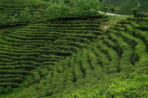 景点|国内“景美人少”的景点，没人陪也要去，第一个就让人心动