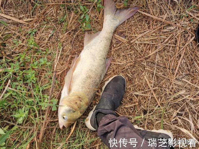 鱼钩|钓鱼时总是挂到鱼鳞?只需简单调整,就能轻松把鱼钓上岸