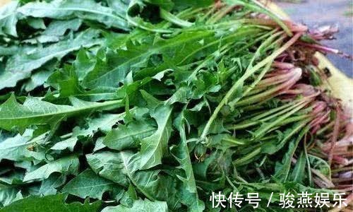 早衰|女人不愿早衰,常吃三种食物,能健脑益智,减缓脑细胞衰老