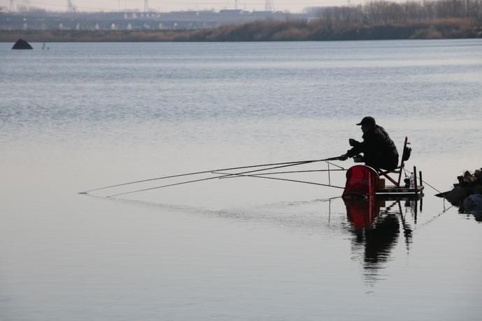 野钓|夏天野钓注意这几点,上钩的都是大鲫鱼