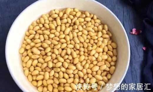 养花|养花叶子发黄怎么办，用这种东西，一周叶片变得油绿发亮