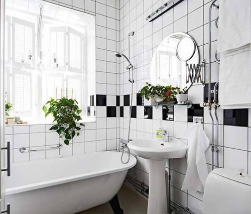 厕所里养花,把潮气毒气都吸走了,身体好皮肤好