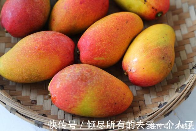 大台农|芒果大“比拼”,贵妃芒、金煌芒、台农芒到底哪个更好吃?