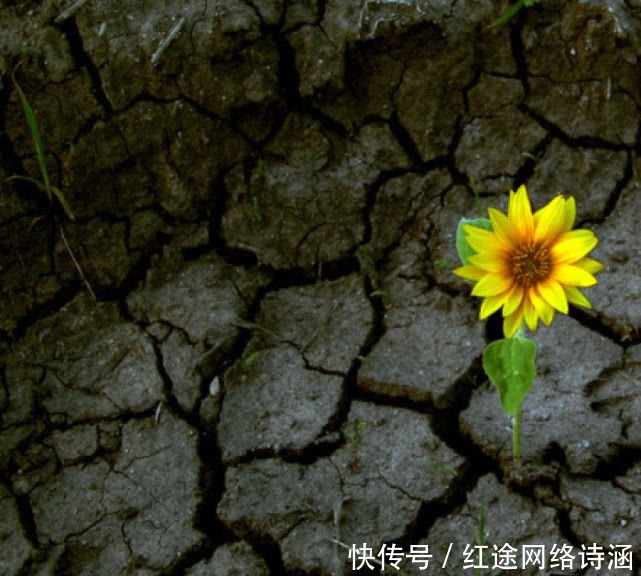 困境|鬼谷子智慧:身处困境,如何绝处逢生?牢记3点,自会苦尽甘来