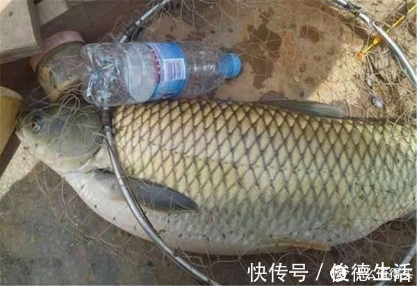 鱼竿|钓中大鱼后有3忌,把握不当则容易脱钩跑鱼,钓鱼人请记牢