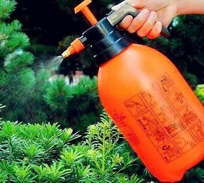 老花匠|养花浇水有讲究，老花匠用3种“套路”，叶片油绿，养1盆爆1盆