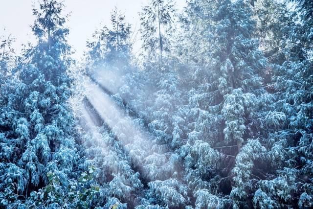  品读|品读名家笔下的雪景