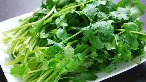 种菜|春天一种菜，尤为适合女性吃，调理月经，养护子宫，越吃越年轻