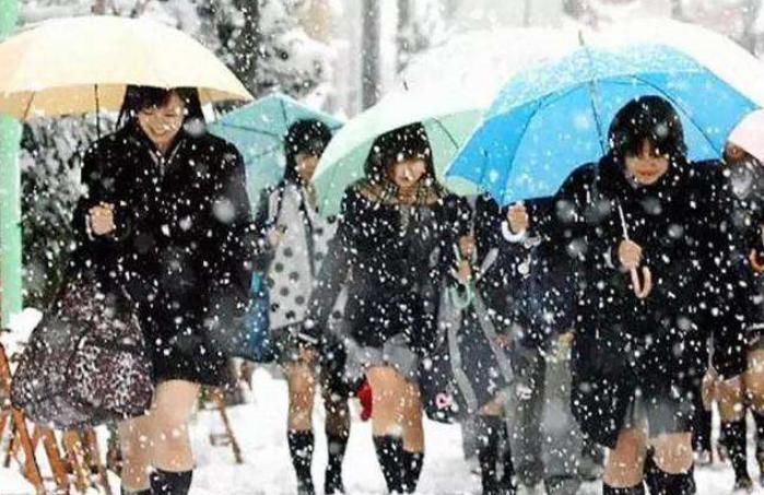  下雪|日本冬天又冷又下雪，为啥女生还坚持穿短裙？一位学生说出实情