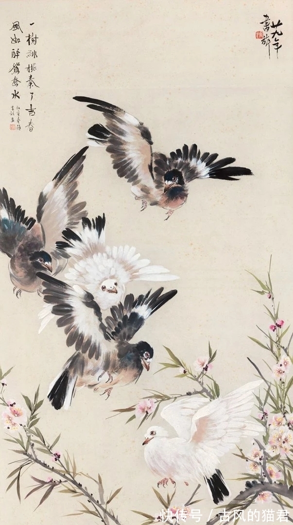 花鸟画!独特的魅力|张书旂花鸟画