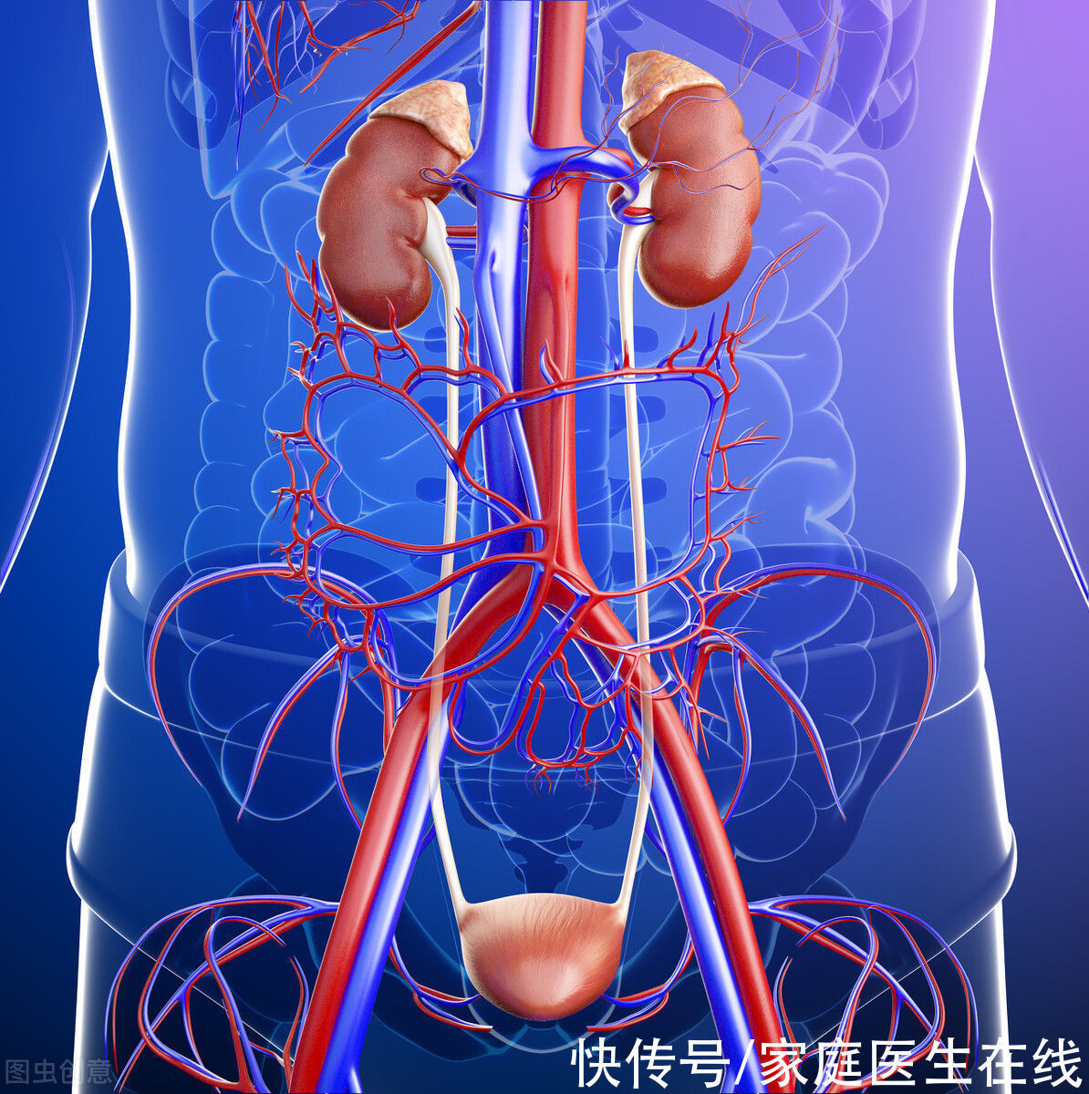 尿毒症是拖出来的，4种疾病放任不管，可发展成尿毒症