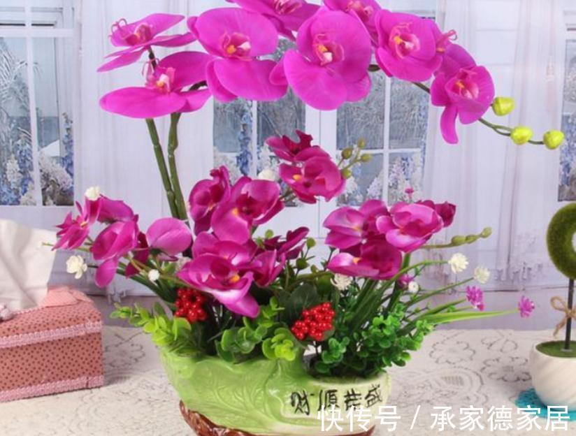 秋冬养花赏花,不如就盆栽这3样,低温天开花又多又美