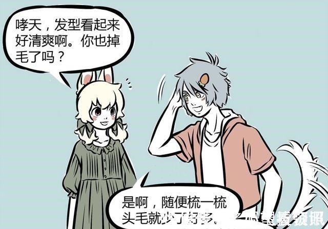 白毛|非人哉同样是毛茸茸的动物,小玉和哮天夏季掉毛,九月黑化!