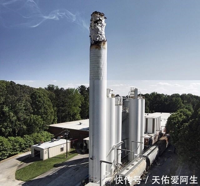 图片|艺术家将两张不同的图片拼接后,奇迹就这样发生了