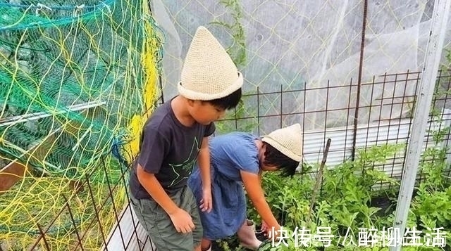 看了這位日本媽媽的日常曬照，一方小院的鄉(xiāng)下的生活，令人羨慕