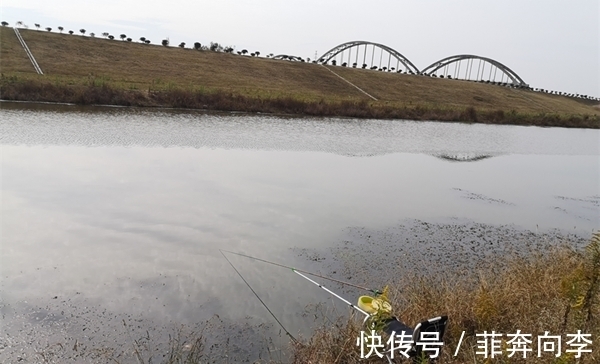 西南风|冬季钓鱼,看准风向选时机,北风和南风,哪种风向鱼最好钓?