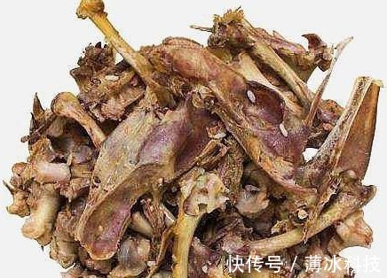 瓜子皮|什么花生壳、瓜子皮都不如“两种肥”,拿来养君子兰,叶绿花更旺