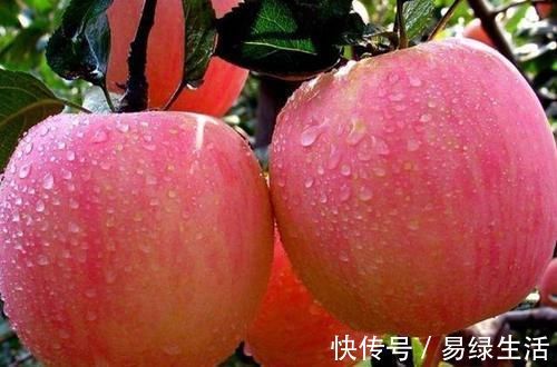 花青素|胃不好的人，4物坚持每天吃，或助你养胃护胃，胃部更健康！