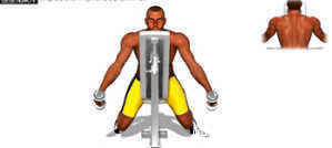 动作|在进行肩部训练时，三角肌后束没有感觉，要了解这几个调整动作
