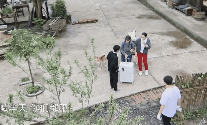 箱子|那英成《向往》最爱摆谱嘉宾,一到就怪罪人,黄磊何炅都招架不住