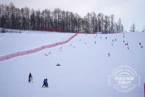 鲁能胜地滑雪场|冰雪盛宴 吉林体验⑤丨长白山鲁能胜地滑雪场：穿梭于山林之间的“梦幻雪场”