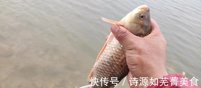 被吹上天的四种爆护神饵二,我已经帮大家试过了,只有一种效果好!