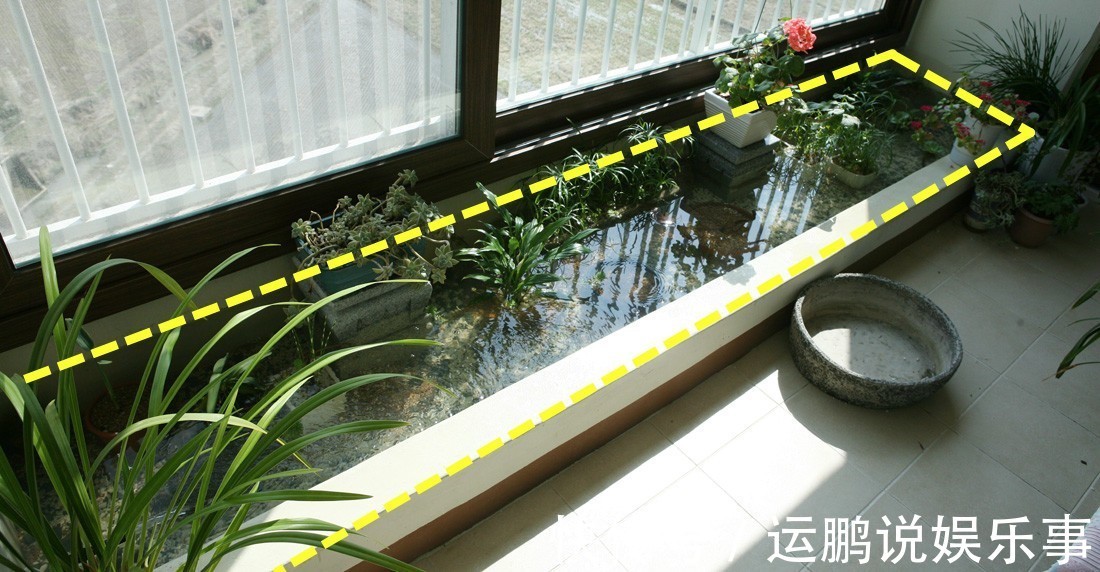 住高层这么干，阳台窗前20公分，用红砖围一圈水池，养鱼种花都好
