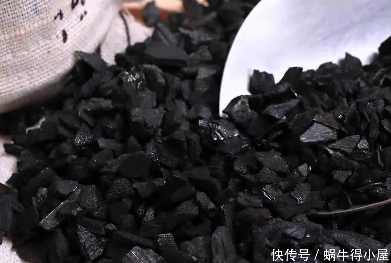 挖掘木炭养花用途：当肥？改善土壤？防治病虫害？