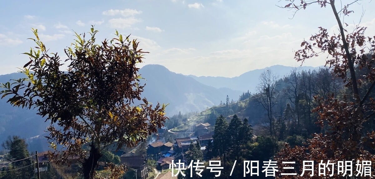 古人|初读不识诗中意,读懂亦是诗中人。读回乡偶书,品古人乡愁