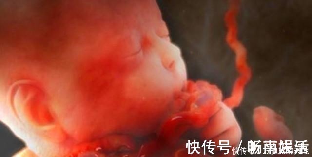 脐带|怀孕6个月,胎儿容易遇到2种危险,出现任何一个孕妇也要谨慎