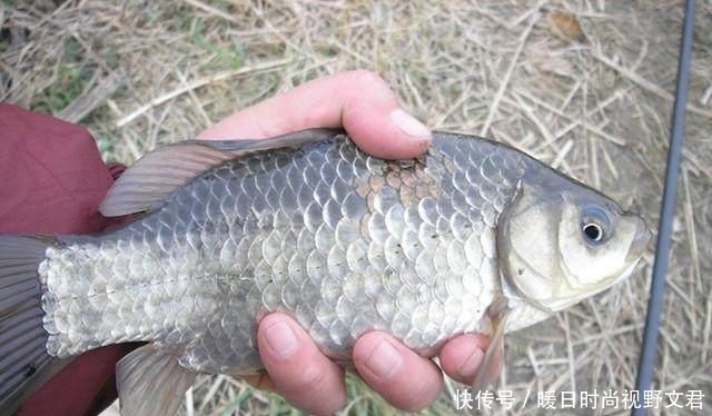 春季钓鱼,这5种天气鱼类很活跃,不去钓鱼可惜了!