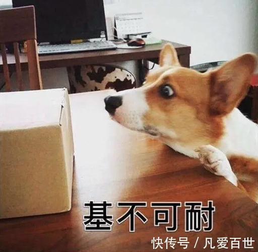 |搞笑笑话,动图:一拳一个歹徒,轻轻松松